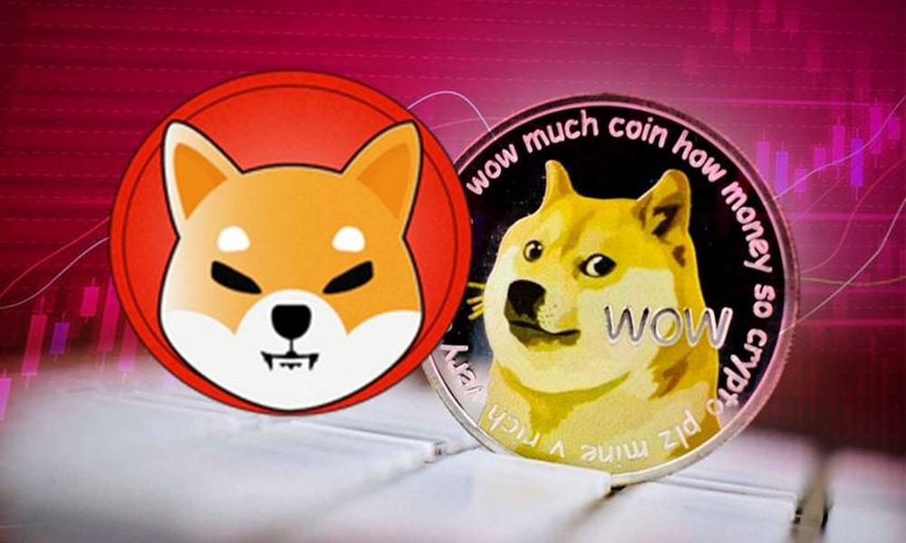 Shiba inu tăng giá mạnh theo hiệu ứng Dogecoin