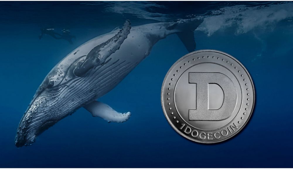 Giá của Dogecoin thường bị chi phối bởi nhà đầu tư cá Voi